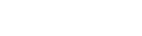 The Bizio Network